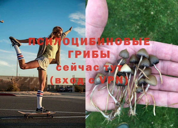 дживик Лабытнанги