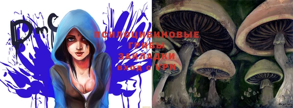 дживик Лабытнанги
