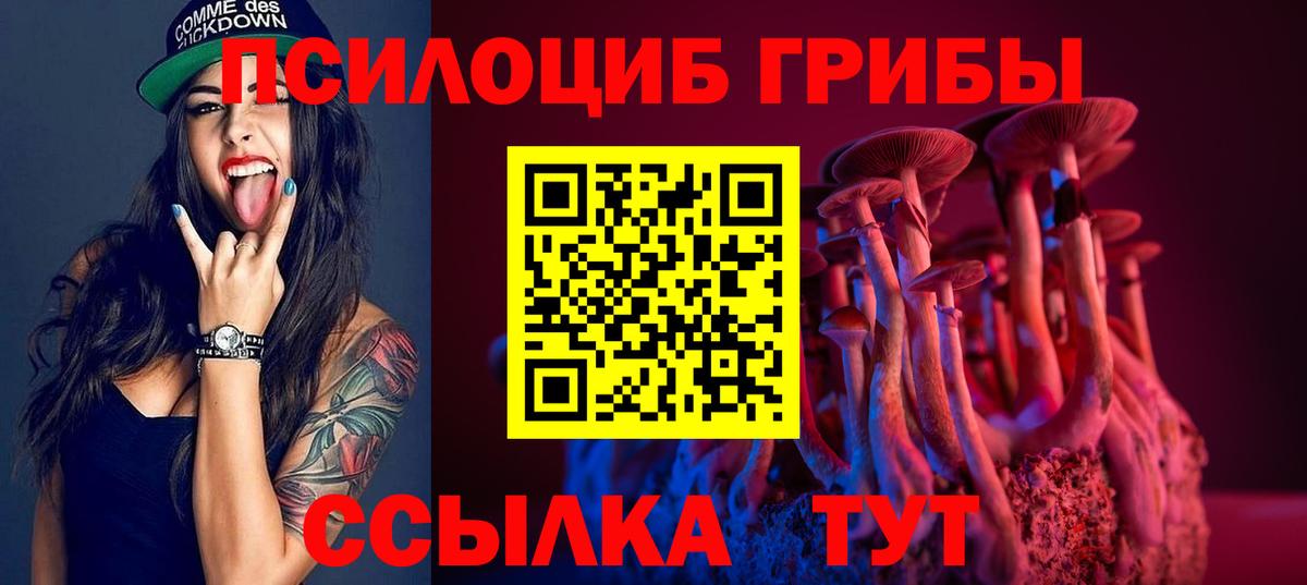 Псилоцибиновые грибы мицелий Шумерля