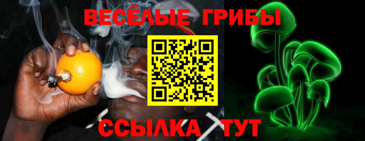 Шумерля  купить наркотики цена  Вход с VPN  Галлюциногенные грибы Cubensis 